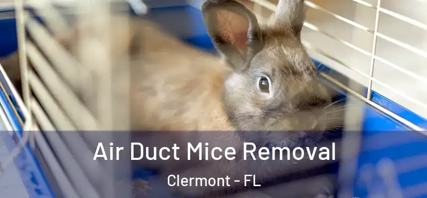 Air Duct Mice Removal Clermont - FL