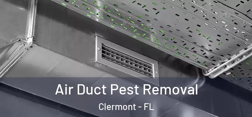Air Duct Pest Removal Clermont - FL