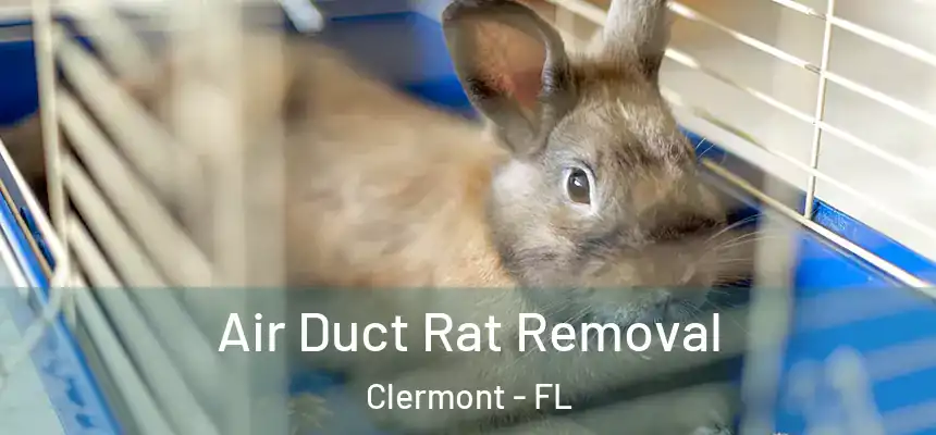 Air Duct Rat Removal Clermont - FL
