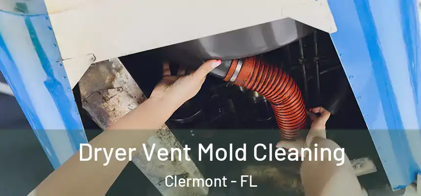 Dryer Vent Mold Cleaning Clermont - FL