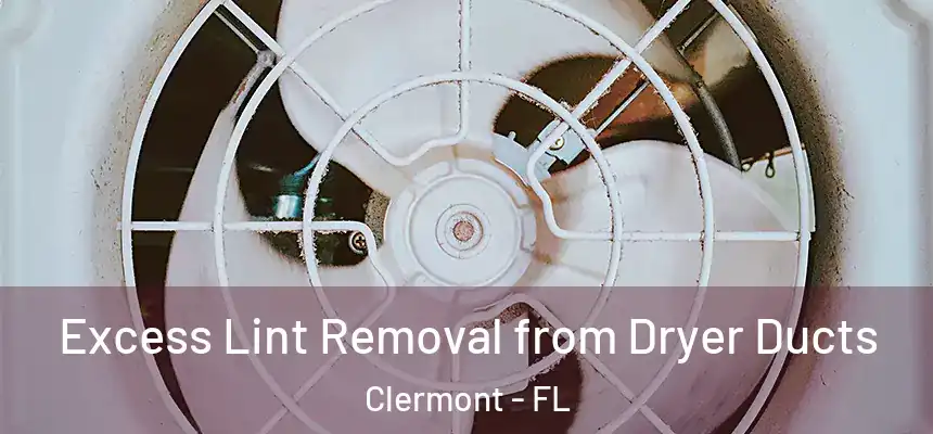 Excess Lint Removal from Dryer Ducts Clermont - FL
