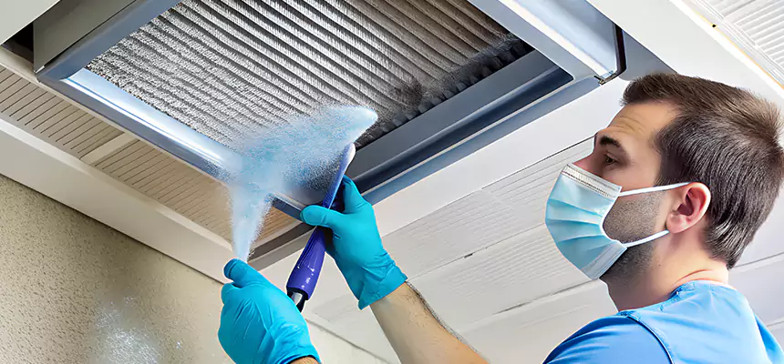 Proactive Dryer Vent & Auxiliary Duct Pollen Cleanup in Clermont, FL