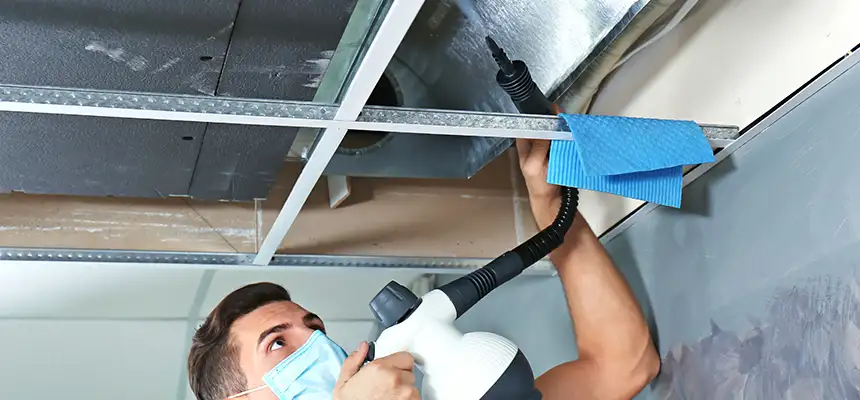 Our Air Duct Rodent Removal Services in Clermont, FL