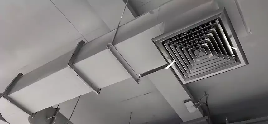 Restorative Allergy Relief Vent Cleaning – Coil, Blower & Housing Detail in Clermont