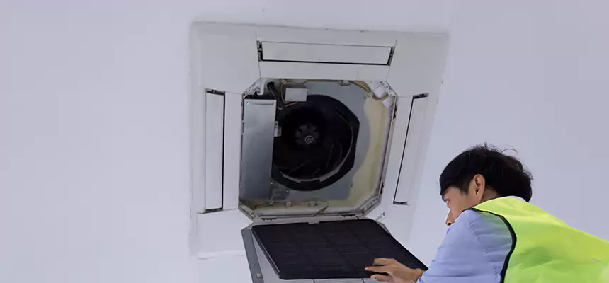 Our Dryer Vent Sanitization Service Services in Clermont, FL