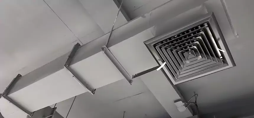 Our Pest Removal From Ducts Services in Clermont, FL