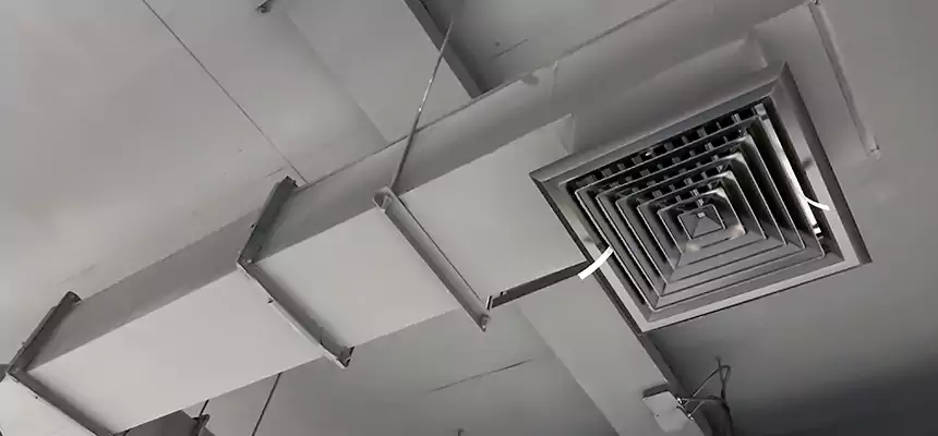 Our Rodent Droppings In Vents Services in Clermont, FL