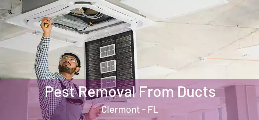 Pest Removal From Ducts Clermont - FL