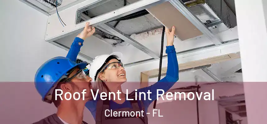 Roof Vent Lint Removal Clermont - FL