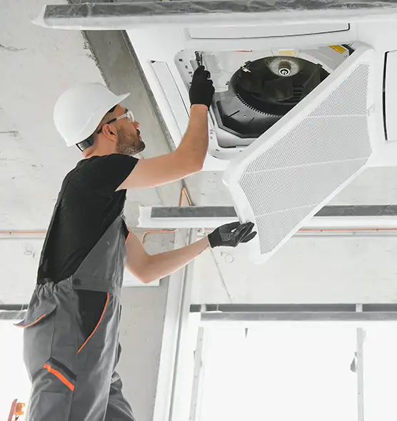 About Air Duct Rodent Removal in Clermont, FL