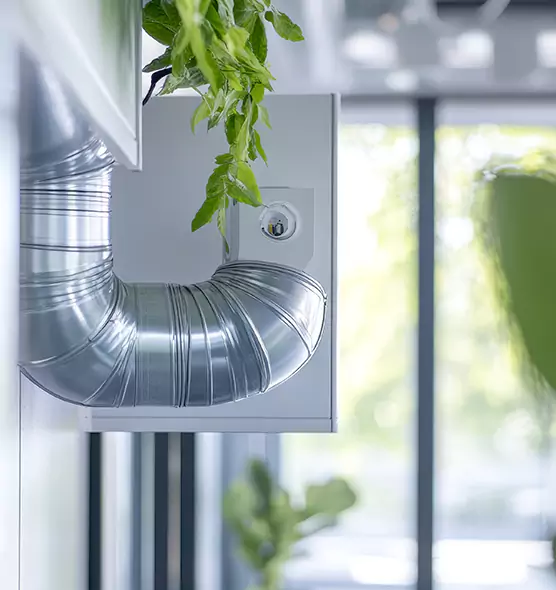 Professional Eco-Safe Dryer Vent Cleaning in Clermont, FL