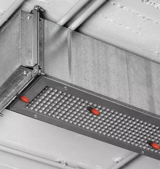 Affordable Insect Removal from Air Ducts in Clermont, FL